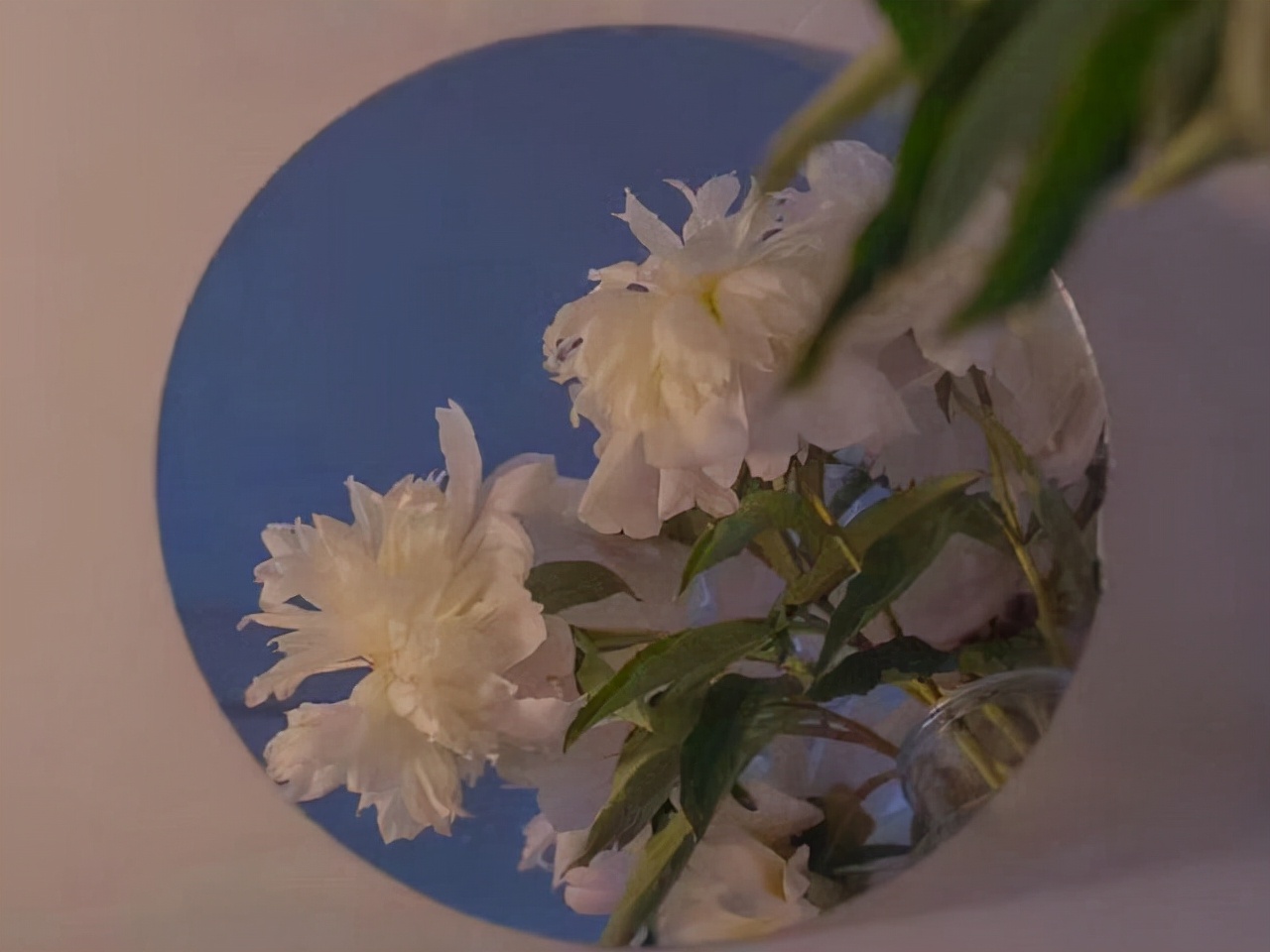 星座师安达 这些星座不怕挫折，他们失去的，终将以更好的形式，来到自己身边