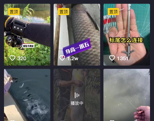 罗非鱼|79斤淡水之王不敌一鱼镖？江苏网友晒出巨型鱤鱼，疑似是鱼镖所打