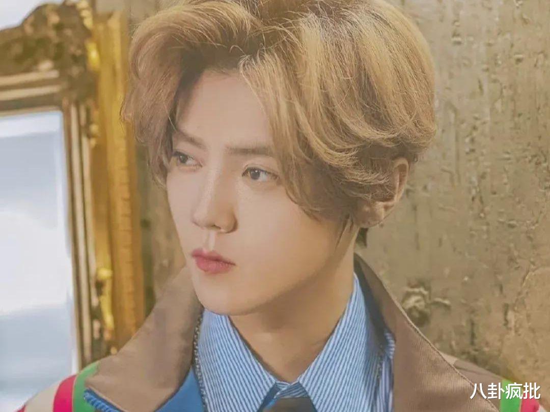 何炅|鹿晗取代吴签？何炅被放弃？杨紫出事了？景甜和大花开撕？