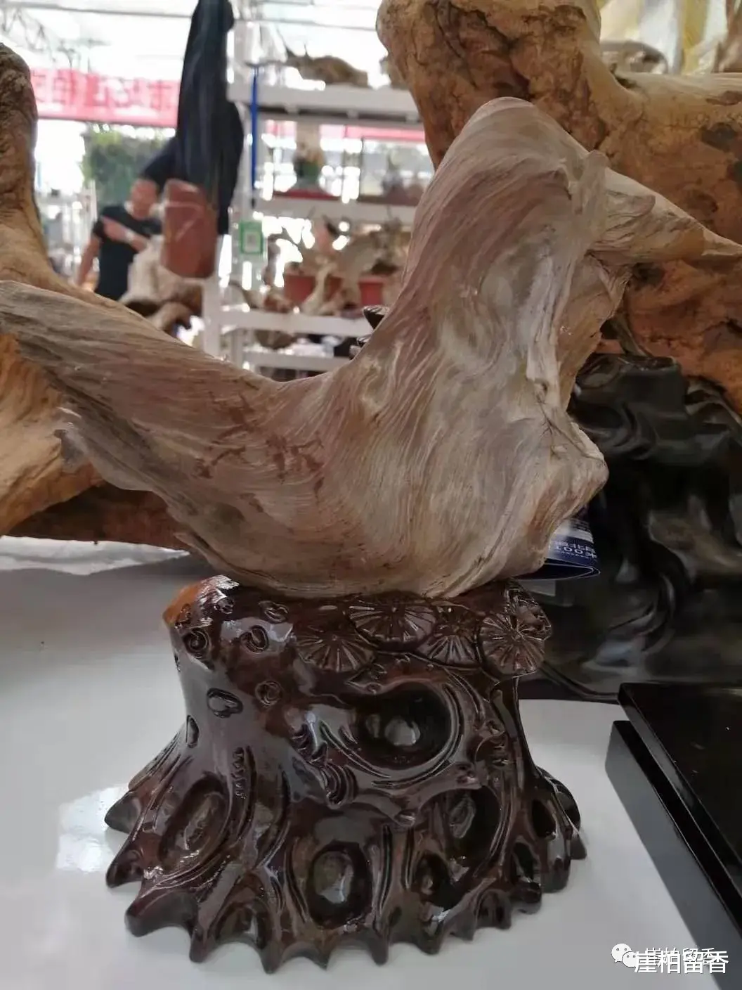 博物馆|什么是太行崖柏骨料呢？