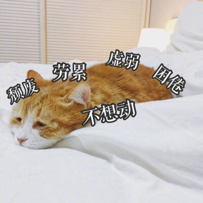 楚门妙手|湿寒入体，不想动、睡不醒、肚子胀、拉肚子，可以用这4种中成药，健脾祛湿、益气