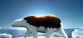 全球变暖 如果全球气候变暖无法阻止，中国最后会输会赢？会发生怎样的改变