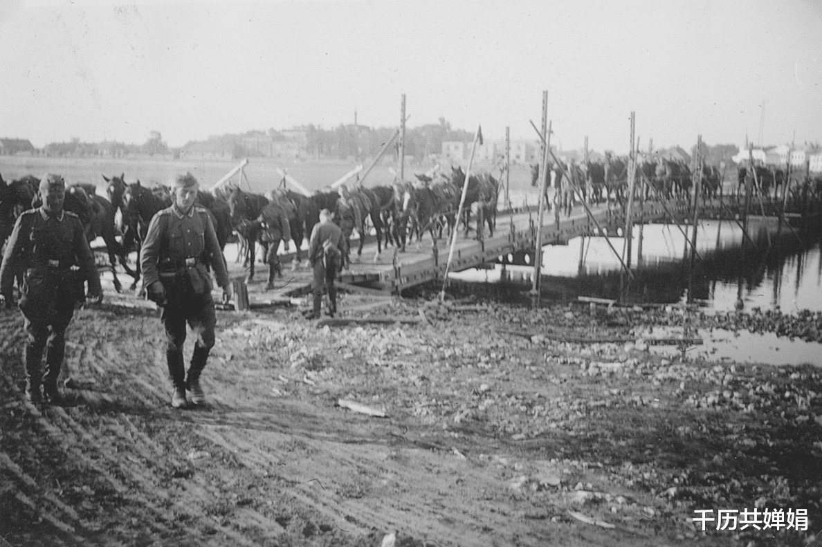 德军|二战德军全员机械化？德军无奈表示，我要是能就不用骡马运输了