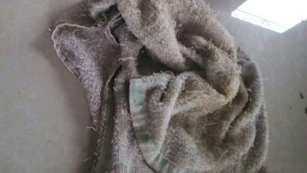 不是智商税！买前“半信半疑”，用后深度圈粉，这6款清洁用品成了心头好