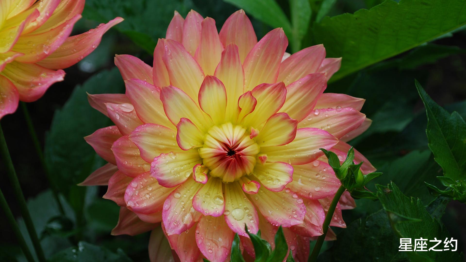 星座之约|在9月中旬,激流勇进,枯木逢春,如愿以偿的三大星座