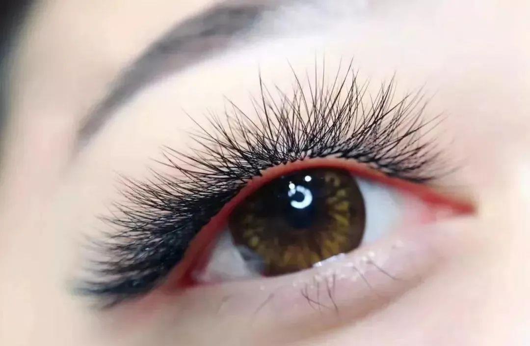 科学家 原来智商真的能“一眼看穿”，科学家发现从眼睛看智商高低的方法