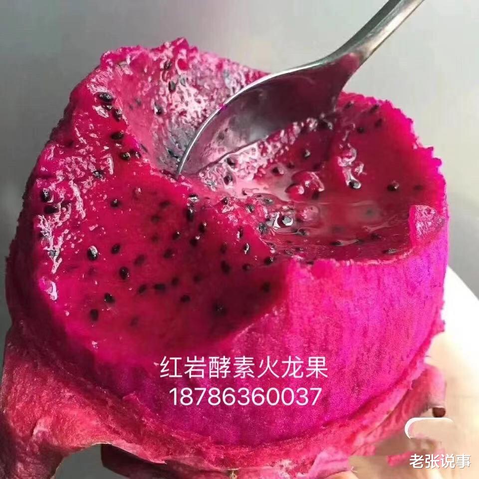 火龙果 秋季减肥 促进消化 霸王花 火龙果你选择了吗