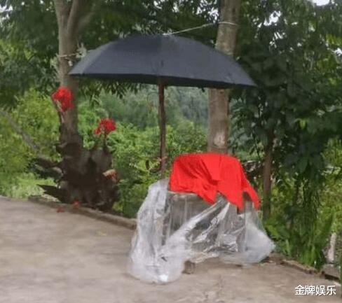 女司机 23岁网红吊塔女司机小邱妹不幸离世！生前视频记录了整个经过