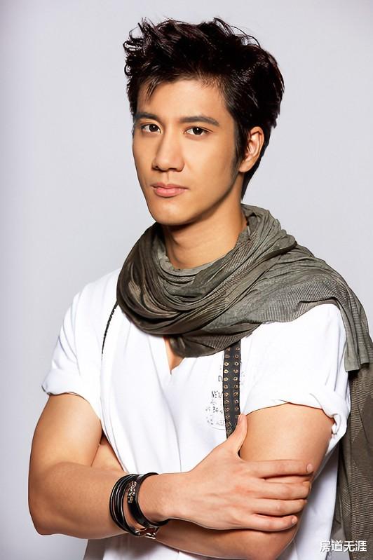 王力宏|王力宏翻车了，我也不用再挨骂了