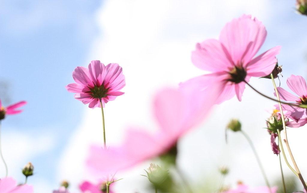 遇见小媛 到了中年,婚姻幸福的女人,身上都有3点“迷人”之处