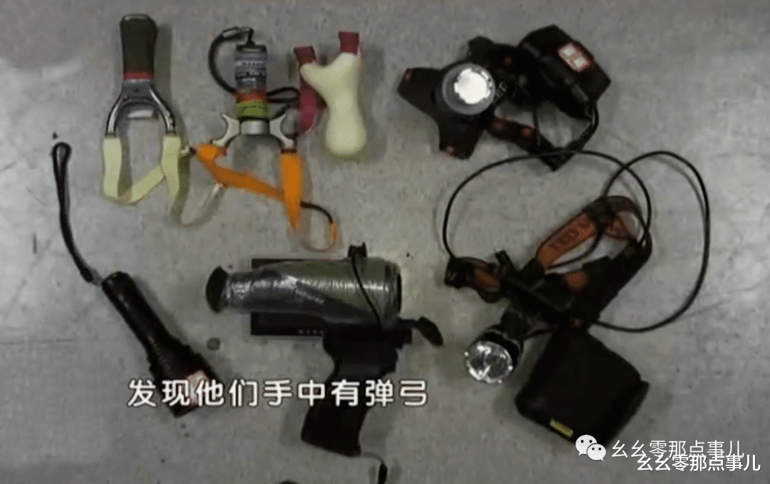 幺幺零那点事儿 在北京打猎的人可不少呢！热成像仪配猎狗，四位野鸟杀手被刑拘