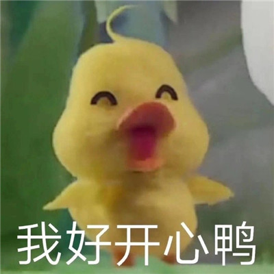 桉月|表情包：心情很好满脸写着开心的表情