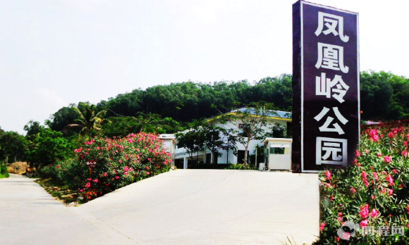 小诺讲故事|民间故事之“凤凰岭传说”,喜鹊既然把一条大蛇打得遍体鳞伤