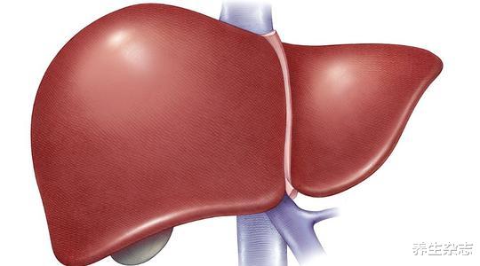 养生杂志|夏日来临,常喝柠檬水会“伤肝”?分享:3个好习惯,恢复肝脏活力