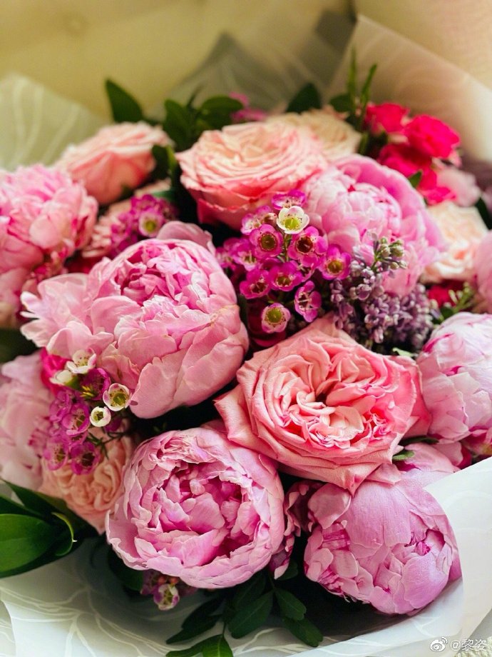 情人节|太幸福！向佐情人节晒一家三口合影，女儿脸颊太萌，郭碧婷状态好