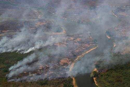  事关全球！专家带来重大发现，或危机全人类，多国已经拉响警报