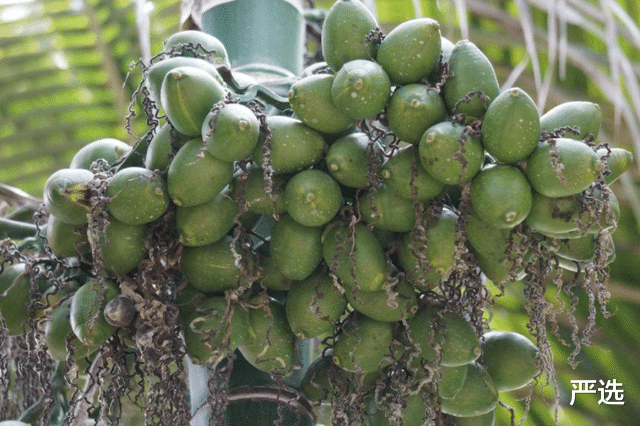 运动|女性不想被喊“黄脸婆”？提醒：4种水果忍住就是赢，1运动是关键
