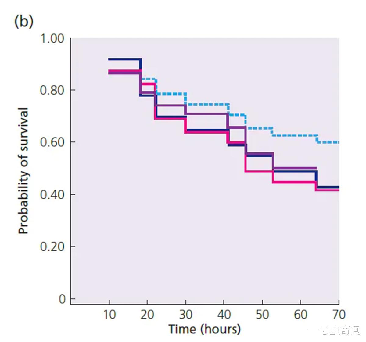 一寸虫奇闻|动物的背部腹部颜色不同？狭路相逢后，动物其实更精通反荫蔽伪装