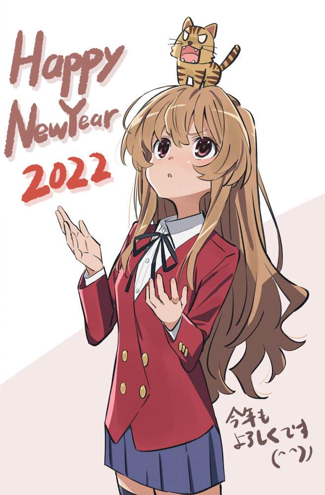 龙与虎|2022年是虎年，那么虎年看什么动画呢？当然是《龙与虎》啦