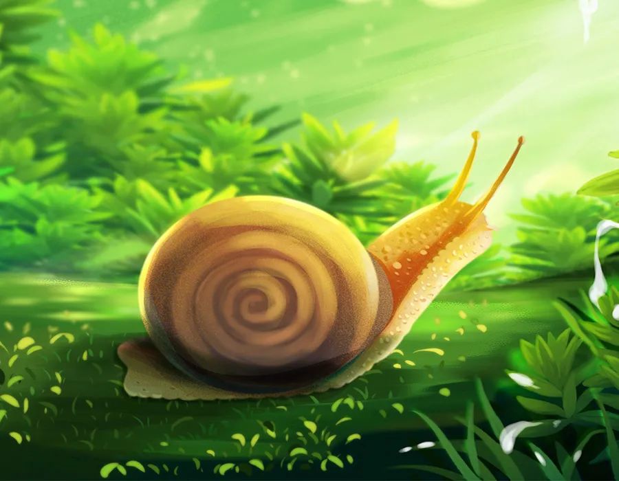 人与自然和谐共生教育:陆生动物(四)?