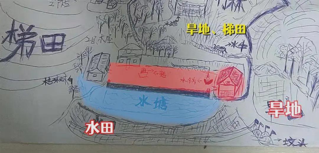男子寻亲成功!苦命母亲痛哭:儿子被拐后,丈夫、大儿子儿媳、女儿和孙子相继离世