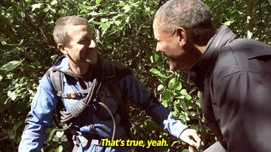 狮子 野外被动物咬？除了等死，你要了解这些求生技能