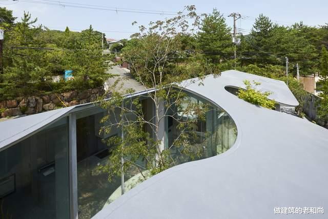 厨房|与场地高度呼应的住宅：让大自然与建筑融为一体，享受呼吸的美好