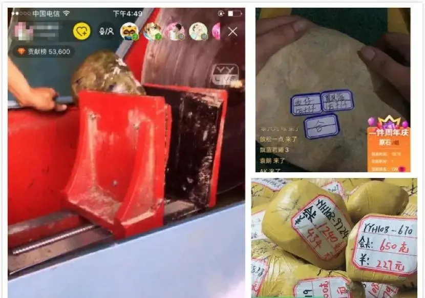 新加坡 火热的赌石直播背后有多少猫腻？