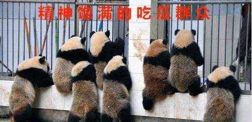 金瀚|金瀚：一天3上热搜，曾跟赵丽颖亲密拍戏，遇情感危机或影响事业