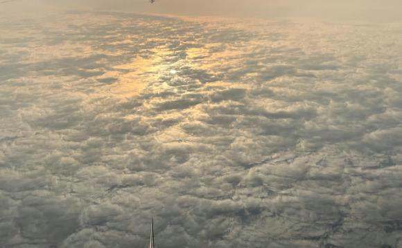 广东省|离奇！广东男子钓鱼喂流浪猫，猫竟抓来老鼠“报恩”