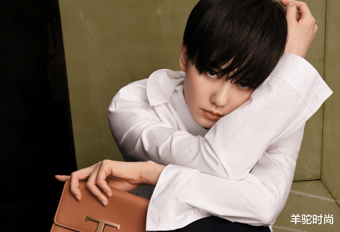 刘诗诗|刘诗诗尝试暗黑短发，却看着像没洗头，出油的发型，看着有点腻