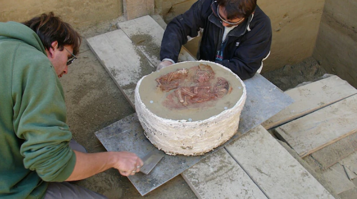 奥地利 30000年前的双胞胎，奥地利考古学家揭开石器时代婴儿的秘密