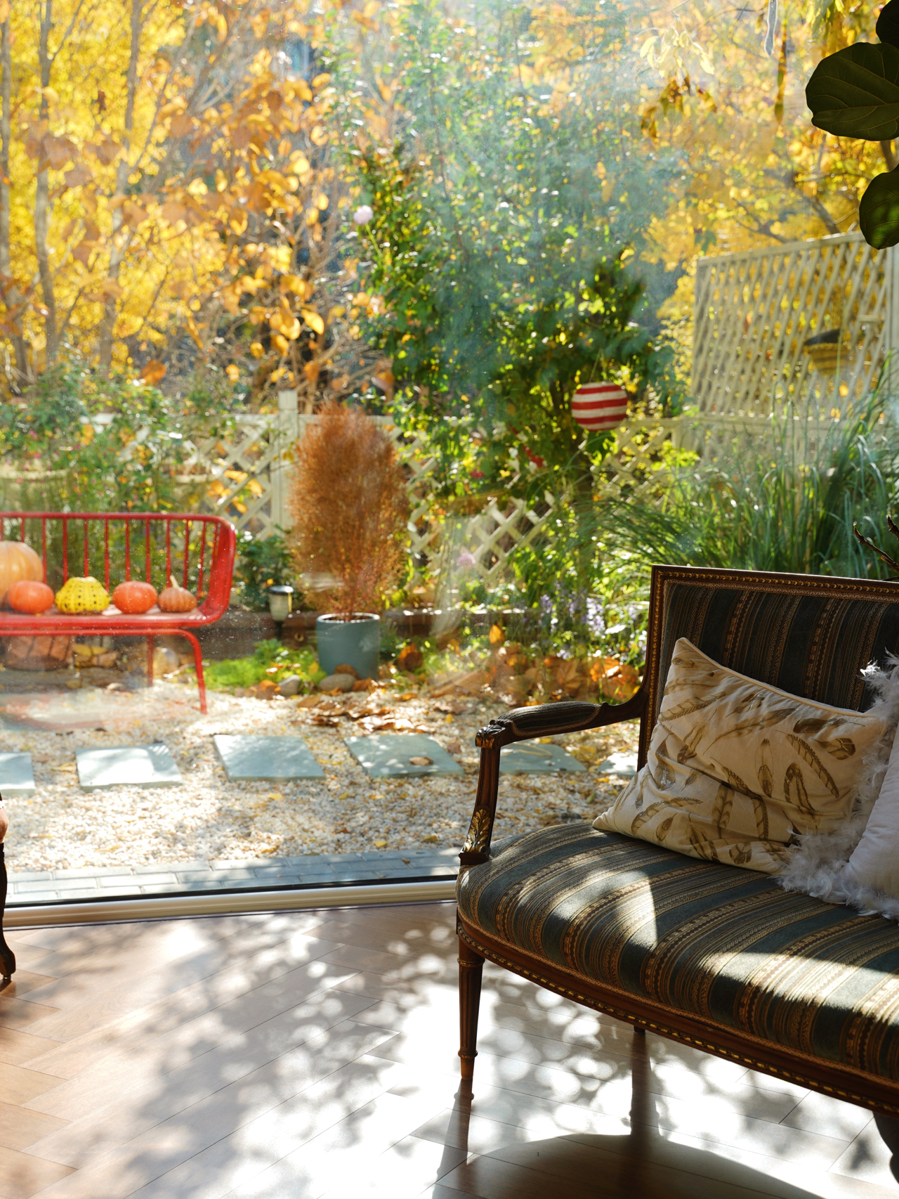 买这房子，就是看上这个40㎡的院子，改造后美得像一幅四季风景画