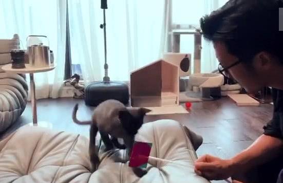 谢霆锋|晒晒谢霆锋在香港的家，全家人都是明星，每天在家却还是粗茶淡饭