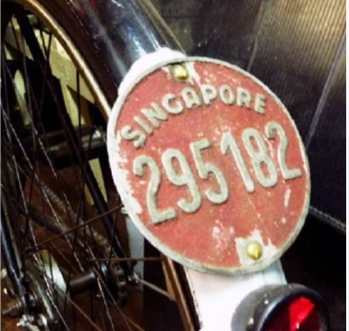 海羊说新加坡 新加坡第一夫人怒怼单车骑士,“是时候教教他们什么是规矩”