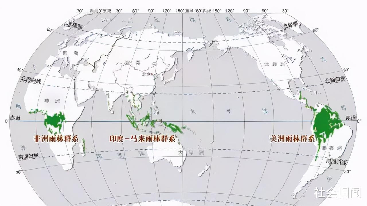 巨蟒|史前地球因高温孕育出泰坦巨蟒，如今这种局面可能再次出现