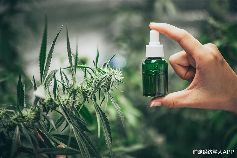 癫痫病|《科学》：大麻拥有巨大潜力，可治疗精神病、癫痫等