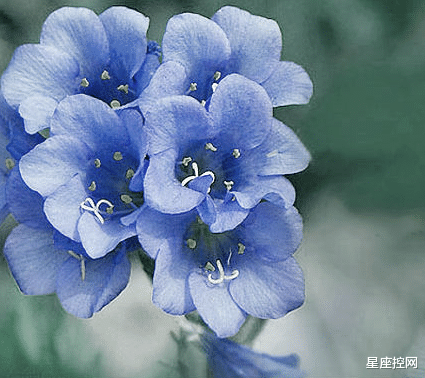 星座控网|哪几个时辰出生的人，风雨之后见彩虹，磨难越多成长越快！