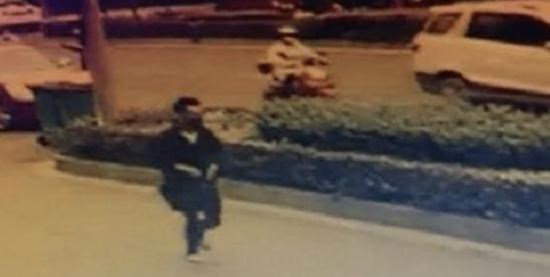 蝙蝠 “皮箱藏尸案”出租车司机被质疑：为何不追嫌疑人？车牌号被曝光