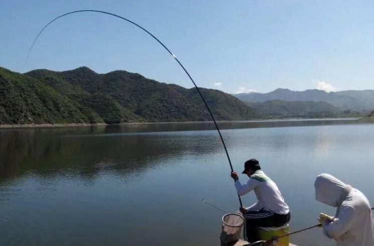 |钓鲤鱼诀窍全在这！掌握这些干货 鲤鱼连杆！——盛世三渔