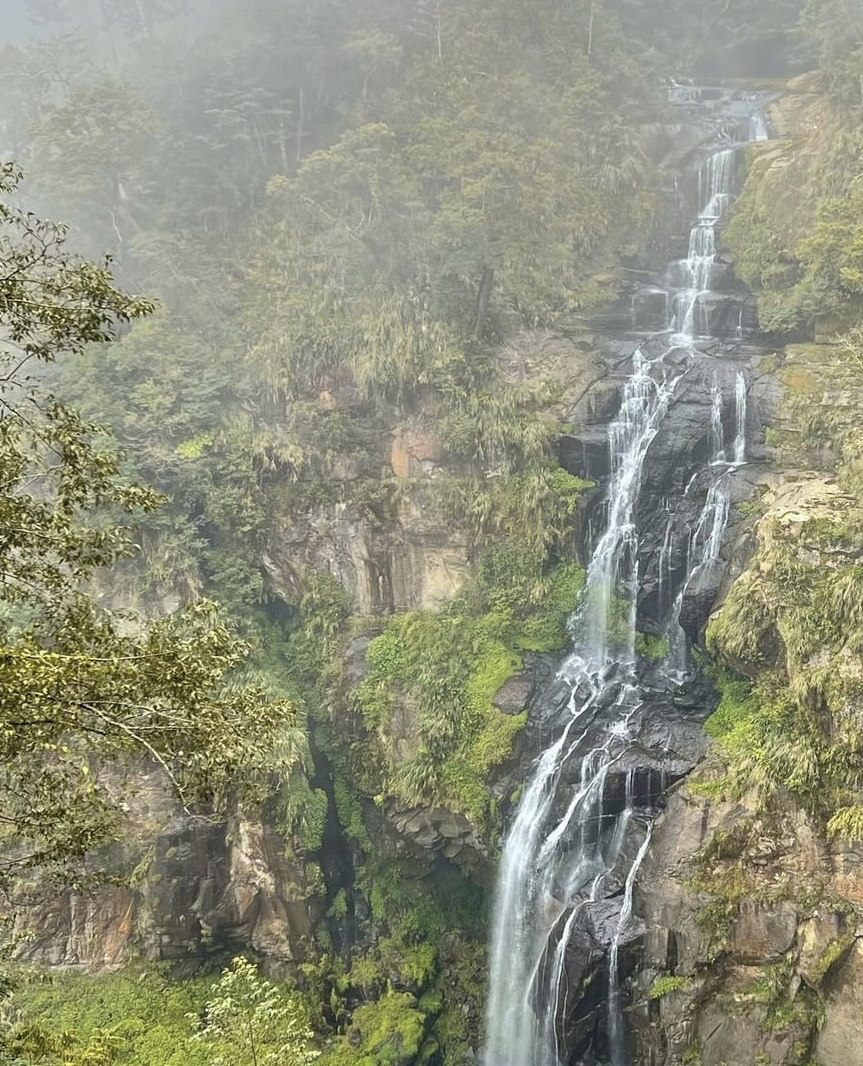 ella|Ella带家人和员工度假，与劲宝DIY披萨，母子欢乐同框画风有爱