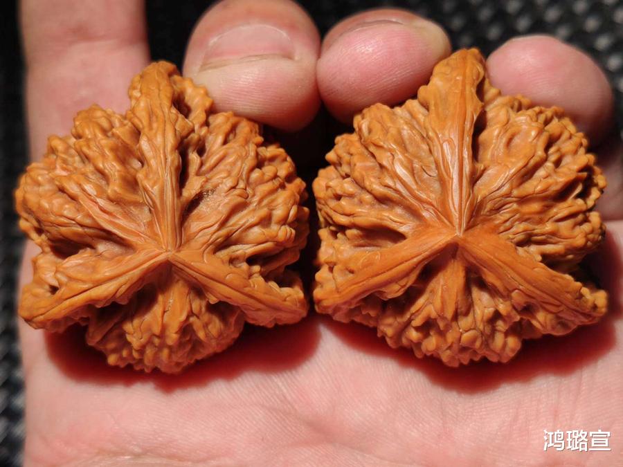 文玩核桃|文玩玩家这些不经意间的习惯，即便是老玩家都难受到“挠头”！