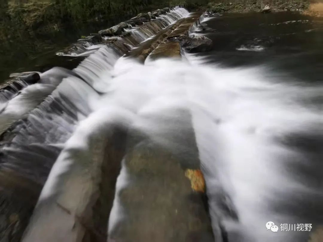 铜川周春辉 铜川摄影师张宝光暮春时节在洋县拍摄的作品