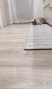 萌控孩|终于嫁给闺蜜的儿子，电视剧都不敢这么演吧？太尴尬哈哈哈