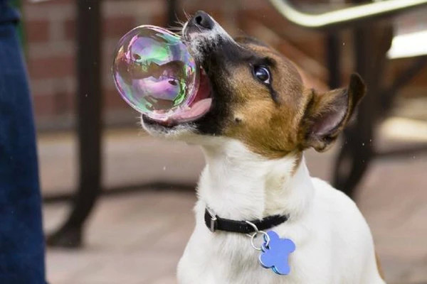 微趣图|47张“倒霉又搞笑”的图片,这些人上辈子是毁灭了银河系吗?