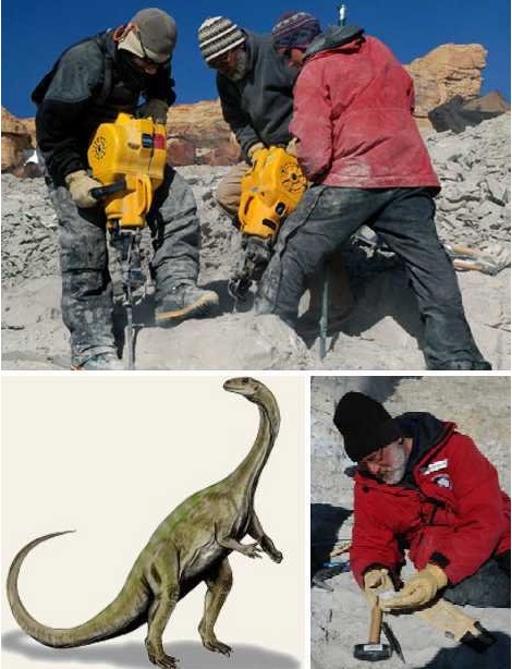 太空 南极大陆蛇颈：似尼斯湖水怪