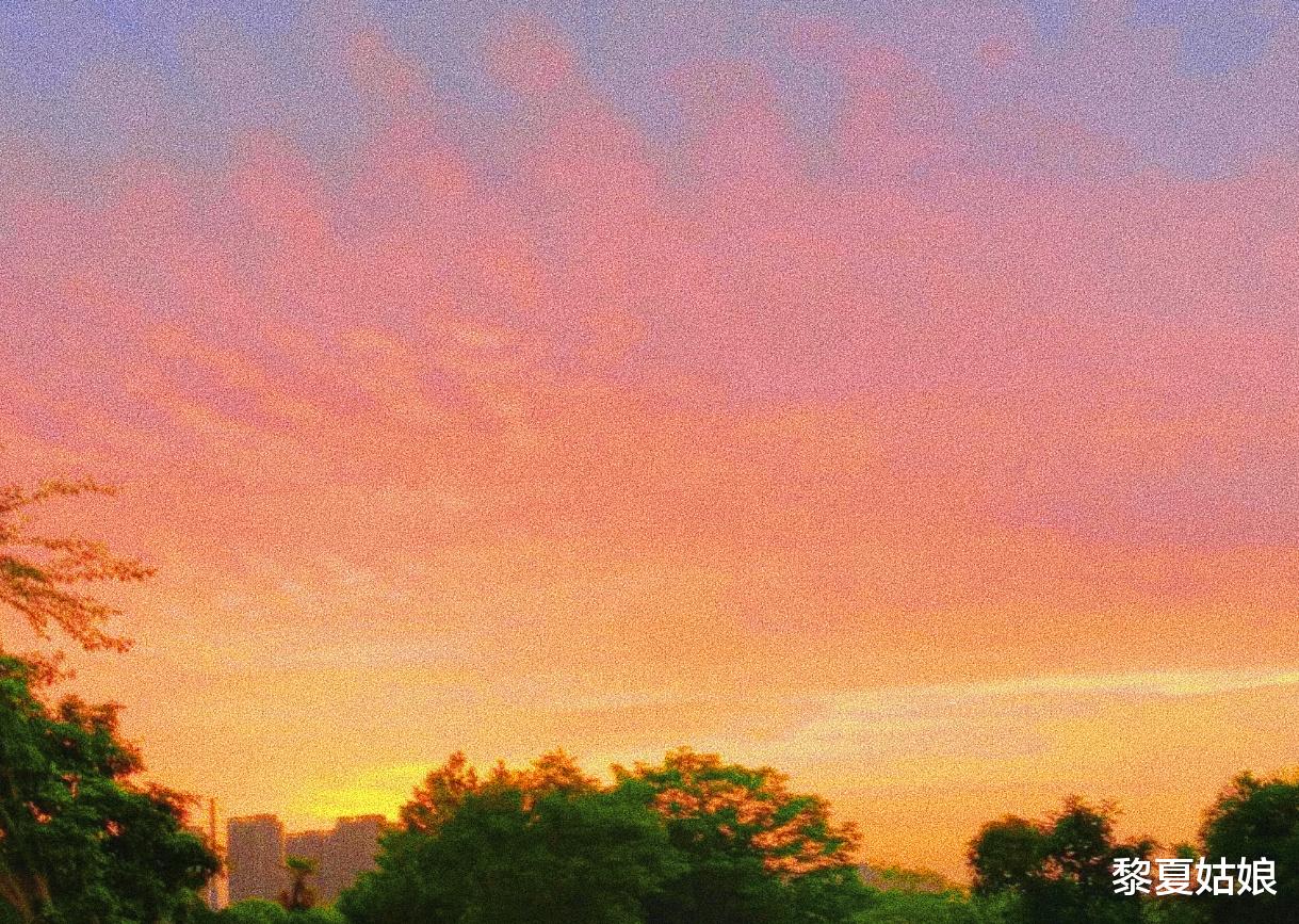 黎夏姑娘|成年人的爱,都是做出来的