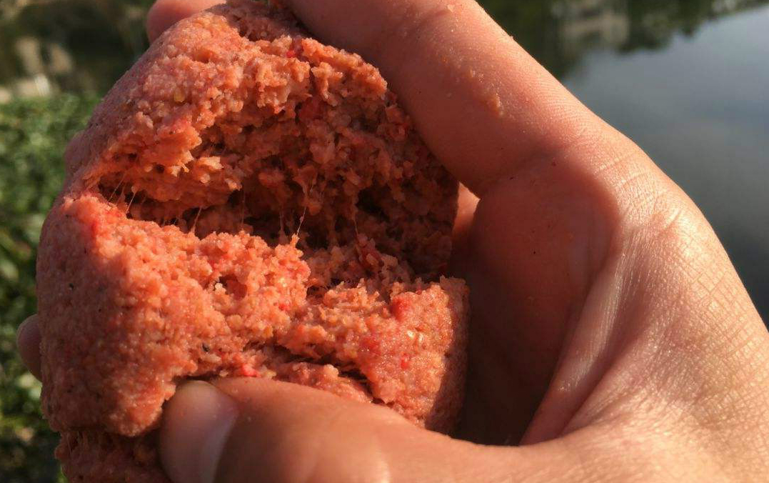 饵料|春天一到，鱼反而不好钓？按我说的这四点做，上鱼速度杠杠的。