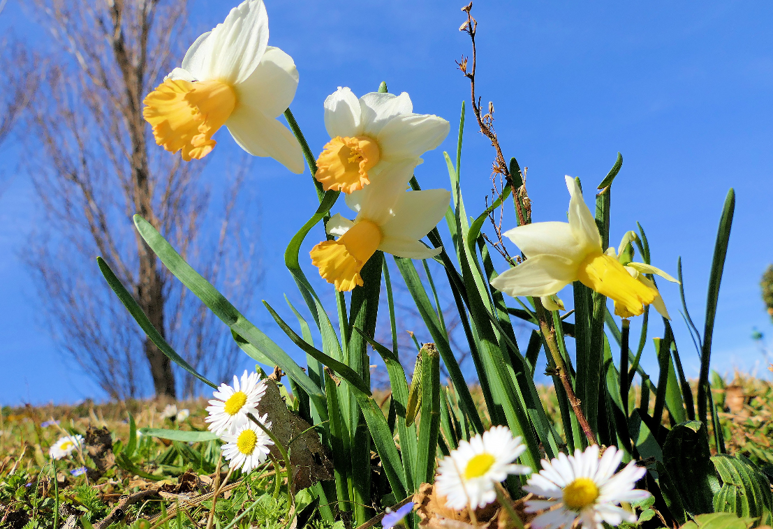 生肖夜读|7月，财运飙升，好事一件接一件，3生肖贵人相助，事业有成，财大气粗