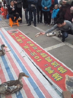 萌萌萌说|给你500万，但你在一年之内必须完成下面一个任务，你会怎么选？